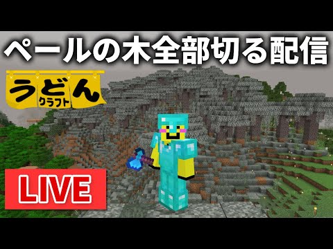 🔴【マイクラ裏作業】新バイオームの木全部刈り取ります【ウドンクラフト】