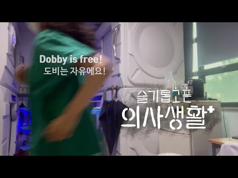 (sub)[Korea Doctor VLOG] #3. Dobby is FREEEE! (for a week only) & record of my recent 2 months