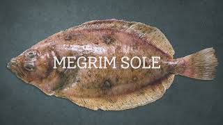 How to cook megrim (or Cornish sole) with Rich Adams