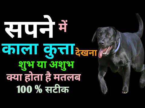 Sapne Me Kala Kutta Dekhna | सपने मे काला कुत्ता देखने का मतलब | Seeing  Black Dog In Dream