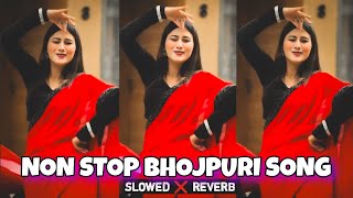 Non stop bhojpuri slowed and reverb song | non stop bhojpuri song | Bhojpuri song mashup | Lofi song