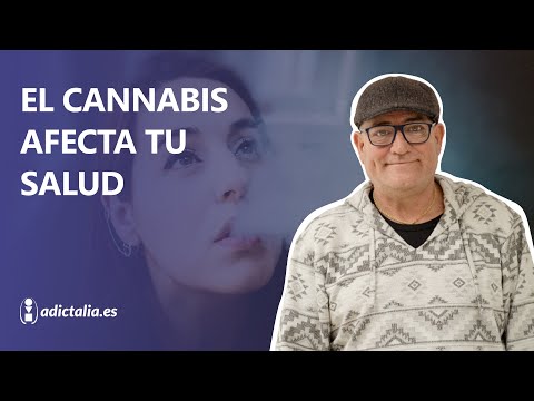 Por qué la MARIHUANA afecta a la SALUD