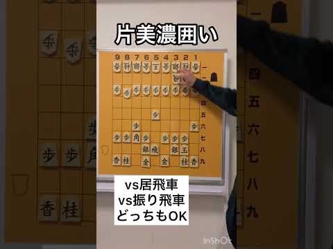 「片美濃囲い」の作り方【これで完璧 将棋の戦法】