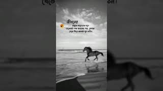 Bengali sayari/Bengali status/Bengali text status shorts/Bengali sad songs