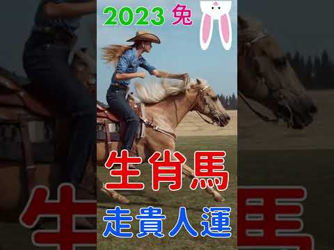 生肖馬在2023水兔年被水剋 為何是喜? #shorts