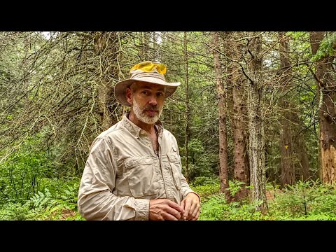 My Retirement Years | Lumber Milling, Purpose of the Bushcraft Camp