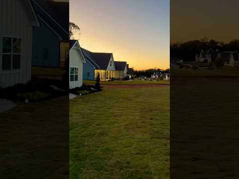 Sunsets & New Zeon Zoysia sod #new #house #construction