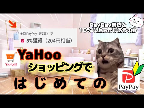 Yahooｼｮｯﾋﾟﾝｸﾞ🔰初めてのPayPay支払いの話【猫ミーム】catmeme【猫マニ】