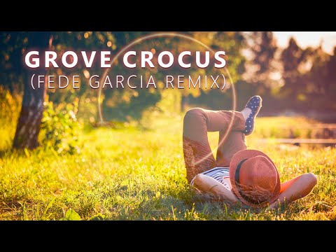 Grove - Crocus (Fede Garcia Remix) - Lounge Ambient