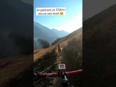 A singletrack of Himalaya ❤️