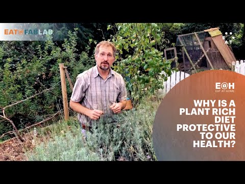 Why is a plant rich diet protective to our health? - EAT@FABLAB