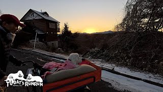 日の出にはあまり興味が無かったルンルンとアランとベルです　Great Pyrenees　グレートピレニーズ