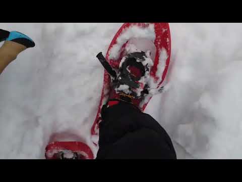 滋賀県　比良山系　スノーハイク　比良駅から金糞峠途中　Shiga Japan snow hike 02/2022