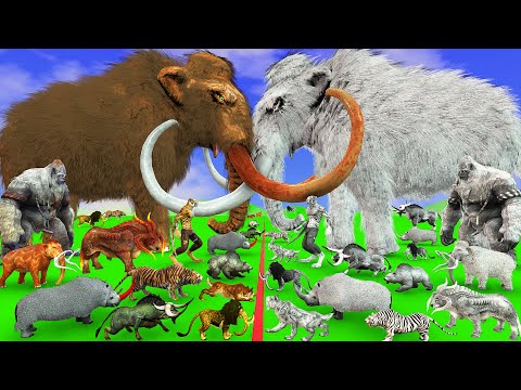 Prehistoric Mammals VS White (Albino) Mammals Size Animal Epic Battle White Mammoth vs Woolly Mamoth