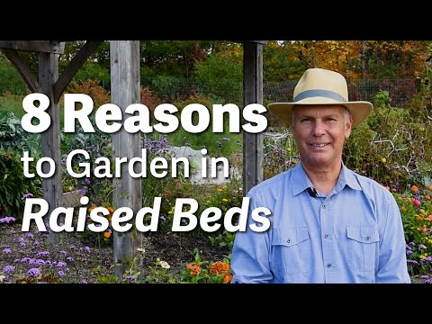 8 Reasons to Garden in Raised Beds