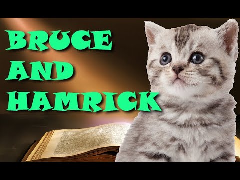 Bruce and HamrickCE Livestream, Sunday Aug 14 at 6pm EST