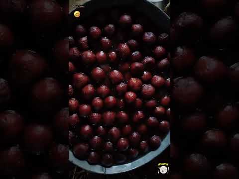 Gulaab jamun Lovers 😍 ll Food WhatsApp status ll food Lovers Status 2022