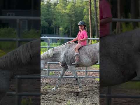 When You’re 8 and Decide It’s Finally Time to Lope Your Horse Bareback and Bridleless!