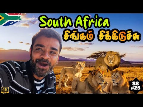 🦁 Budget African Lion Safari தமிழில் | 🇿🇦South Africa ep5