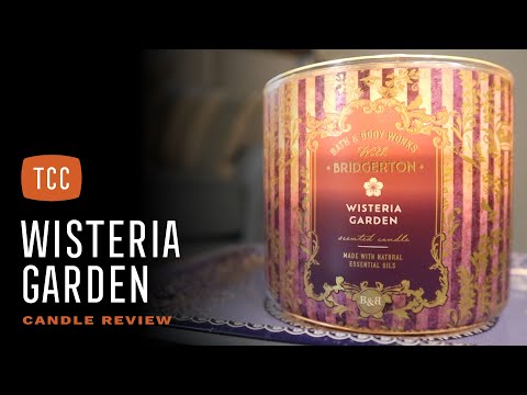 Wisteria Garden Candle Review – Bath & Body Works