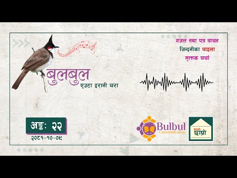 BULBUL 022 | बुलबुल - एउटा इरानी चरा || YT Audio Program || Achyut Ghimire Bulbul