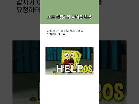 식물에 두드러기가 났다고?