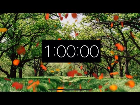 1 Hour Timer - Autumn Day