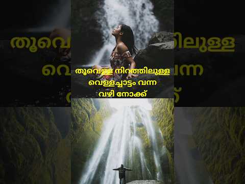 ലോകത്തിലെ സുന്ദരമായ ഒരു നദിയുടെ ഒഴുക്കിൻ്റെ വഴി..#shorts #shortsfeed #shortsvideo