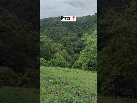 girda buldhana #viral #shorts #viralvideo #trendingshorts #forest #travelvideo