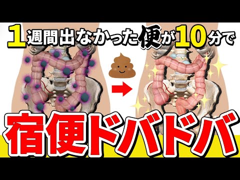 【58kg→47kg】便秘解消しながらお腹痩せ！お通じドッサリで翌朝2kg減(リアル視聴者さんの声)