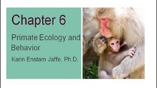 Explorations Chapter 6 Primate Behavior