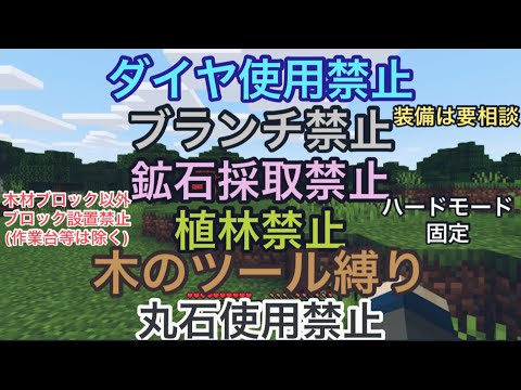 せや、木のツールで縛りプレイやったろ(仮) Part1