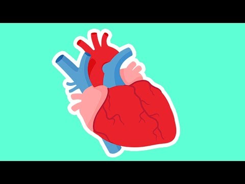 How the Heart Works for Kids |  Valentine's Day Biology | Anatomy for Kids