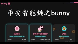 币安智能链之bunny介绍