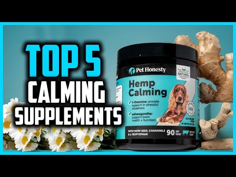 ✅Top 5 Best Calming Supplements For Dogs in 2025