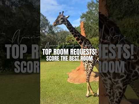 Get The Best Rooms Animal Kingdom Resort! TOP 3 Disney Room Requests!  #disneyresorts #disneytips