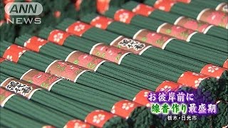 彼岸前に天然杉の葉の線香作り最盛期　栃木・日光市(15/03/07)