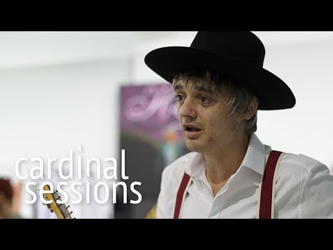 Peter Doherty - A Fool There Was - CARDINAL SESSIONS