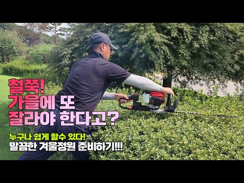 철쭉! 가을에 또 잘라야 한다고? 누구나 쉽게 할수 있다! 말끔한 겨울정원 준비하기 / Tidying up our garden