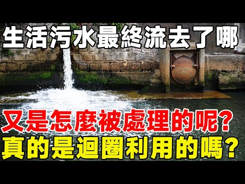 生活污水最終流去了哪？ 又是怎麼被處理的呢？ 真的是迴圈利用的嗎？#科普頻道 #科普