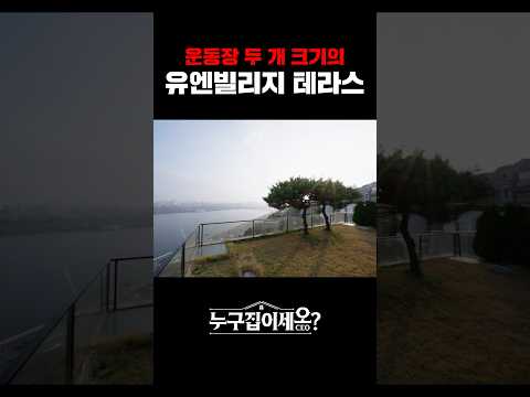 개 30마리는 뛰어놀 수 있을 듯한 유엔빌리지 테라스