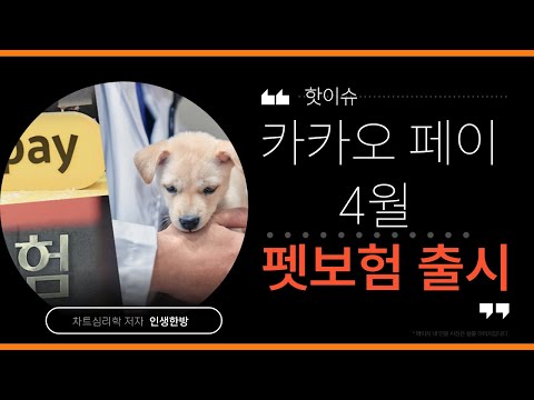 카카오페이 4월 펫보험 출격! 블루오션 시장되나?