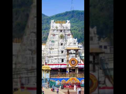 Tirupathi Tirumala #shorts #Tirupathi #Tirumala #TTD #ytshorts #short