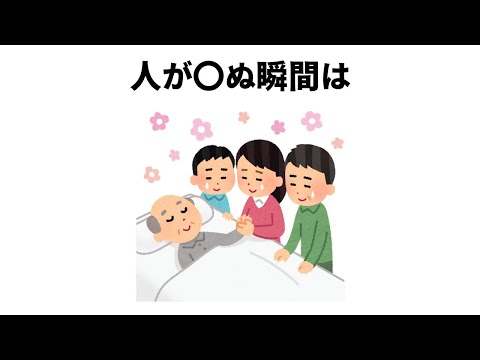 【人は〇〇】人体のほとんど知らない雑学【簡単雑学】