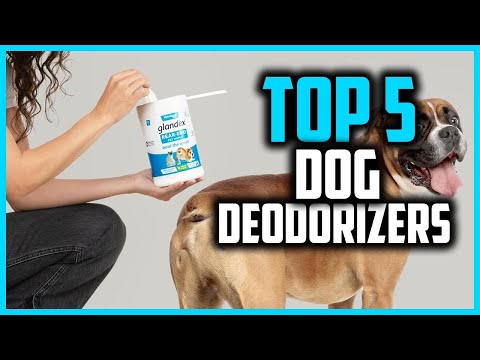 ✅Top 5 Best Dog Deodorizers for Healthy Skin and Coats in 2024