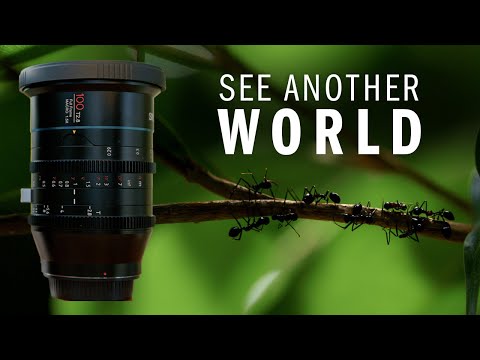 Cinematic Nature Footage Ursa 12K + SIURI Jupiter Cinema Lens