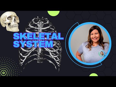 Skeletal System: Part 1