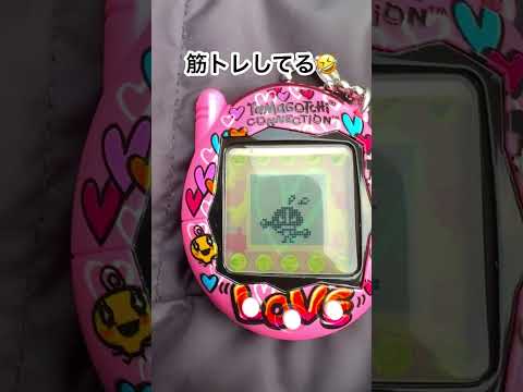 筋トレしてたwwwwwww #tamagotchi #tamagotchiconnection #たまごっち #たまごっちコネクション #shorts