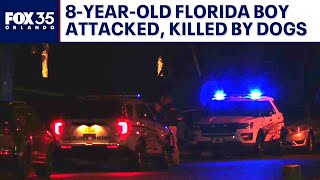 Dogs attack, kill 8-year-old boy near DeLand, sheriff says: 'Tragedy beyond comprehension'