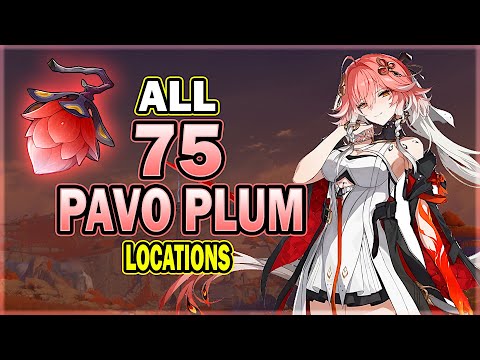 All 75 Pavo Plum Locations in Wuthering Waves - Efficient Farming Route